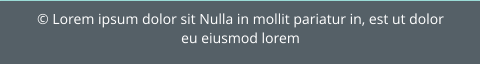 © Lorem ipsum dolor sit Nulla in mollit pariatur in, est ut dolor eu eiusmod lorem